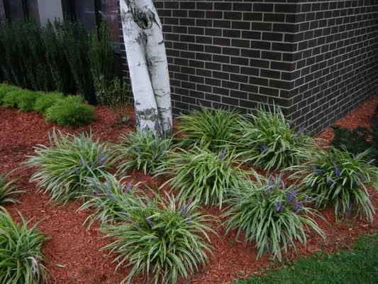 GreenBee LawnCare Logo