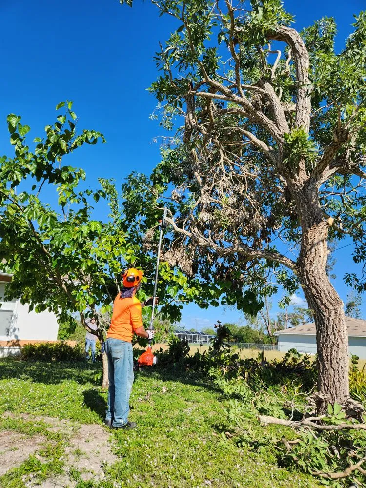 Top-rated lawn care service in Cape Coral, FL - Greenbelt Concepts