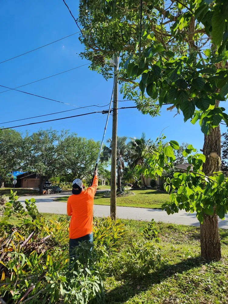 Professional garden landscaping in Cape Coral, FL by Greenbelt Concepts