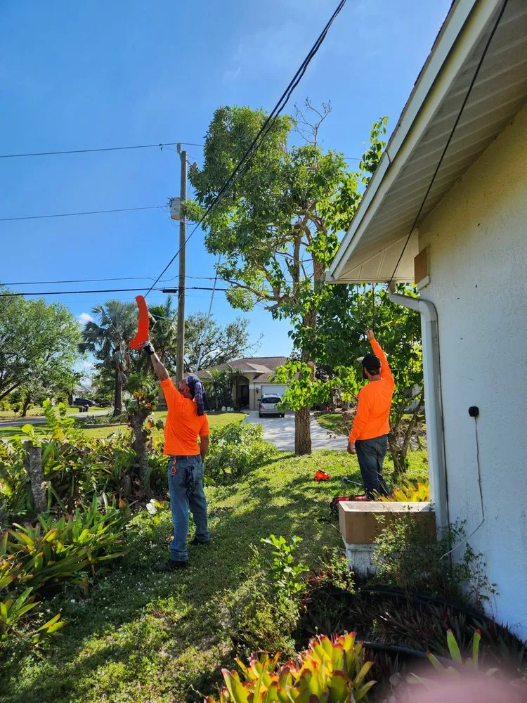 Affordable residential landscaping in Cape Coral, FL - Greenbelt Concepts