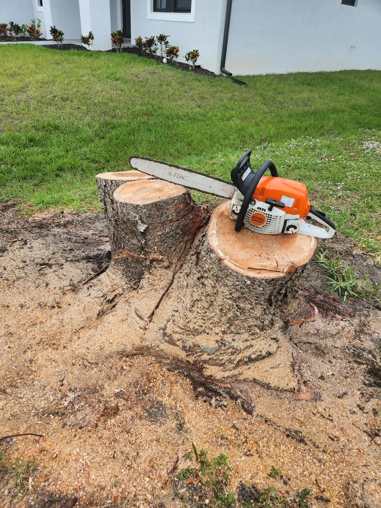 Top-rated landscape installation in Cape Coral, FL - Greenbelt Concepts