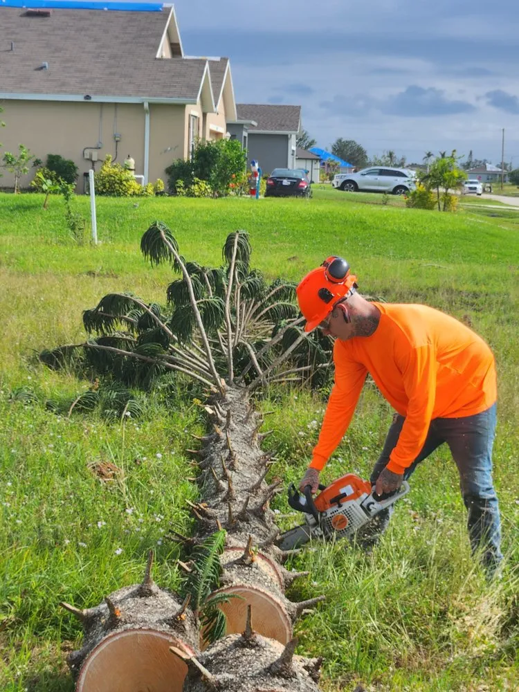 Reliable landscape design in Cape Coral, FL by Greenbelt Concepts