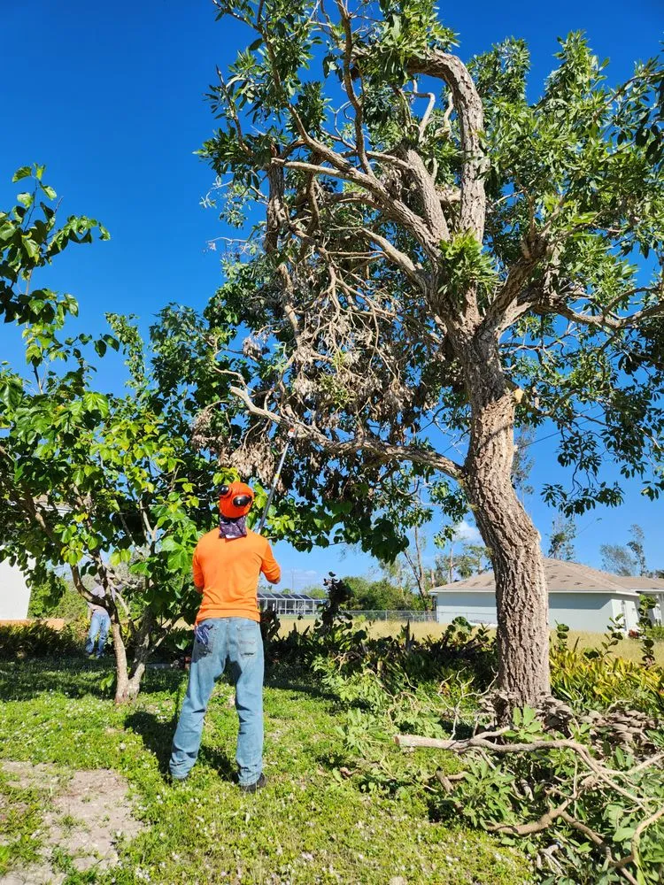 Local landscape design experts serving Cape Coral, FL - Greenbelt Concepts