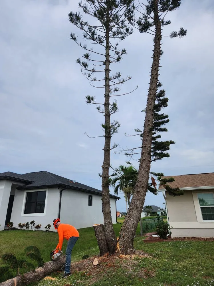 Trusted garden landscaping for residential properties in Cape Coral, FL by Greenbelt Concepts