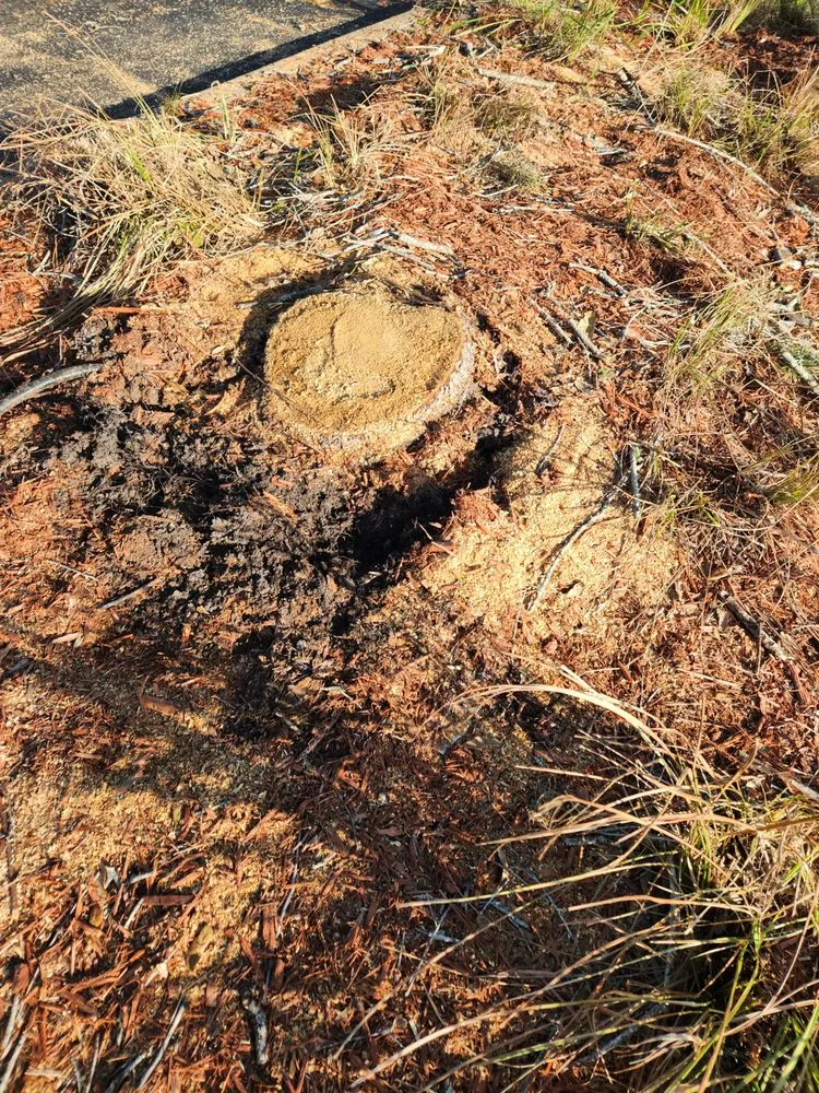 Local lawn care service for residential properties across Cape Coral, FL - Greenbelt Concepts