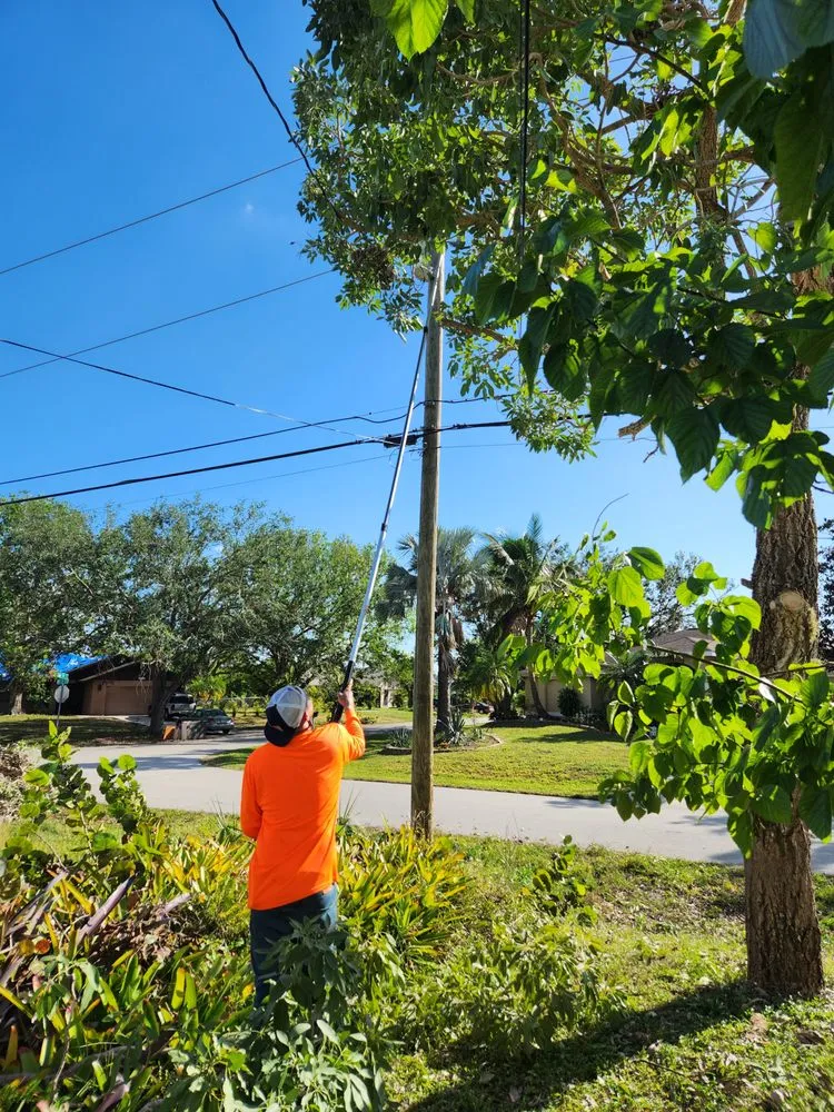 Reliable landscape design for homes across Cape Coral, FL - Greenbelt Concepts