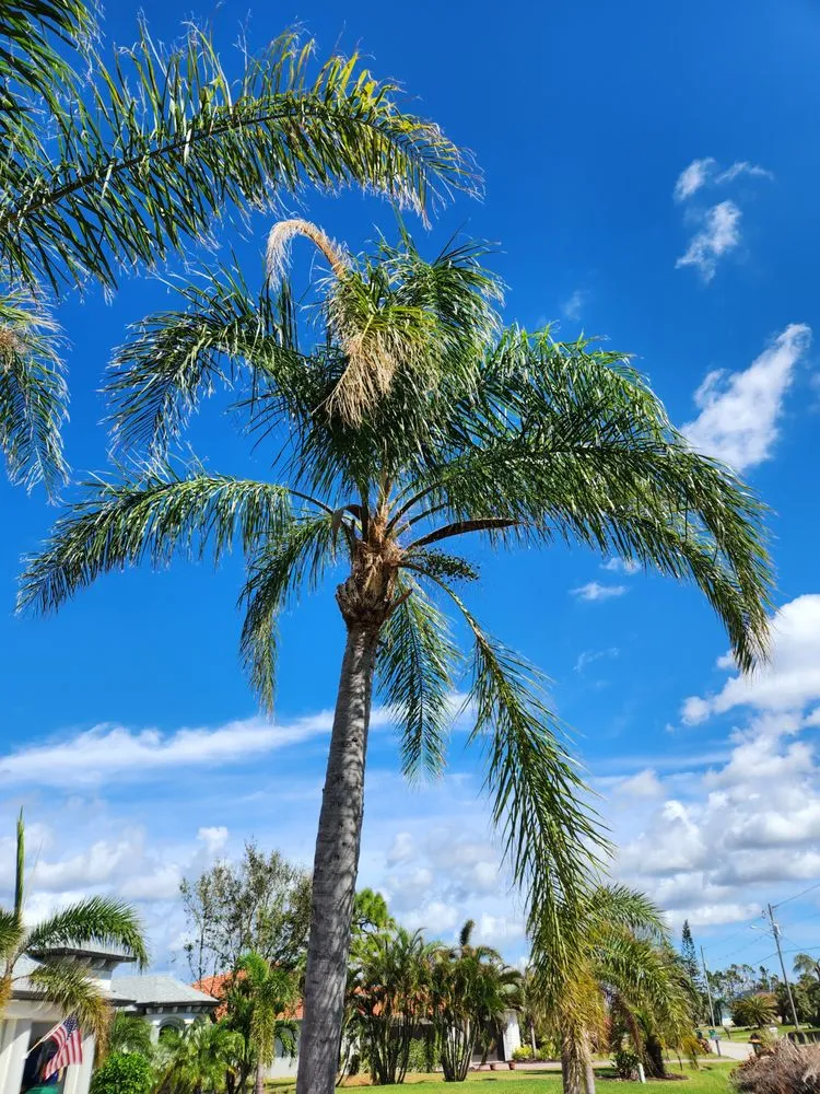 Local lawn mowing service with custom design across Cape Coral, FL - Greenbelt Concepts