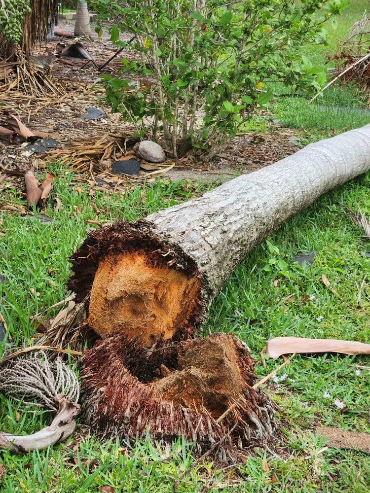 Local landscaping services experts serving Cape Coral, FL - Greenbelt Concepts