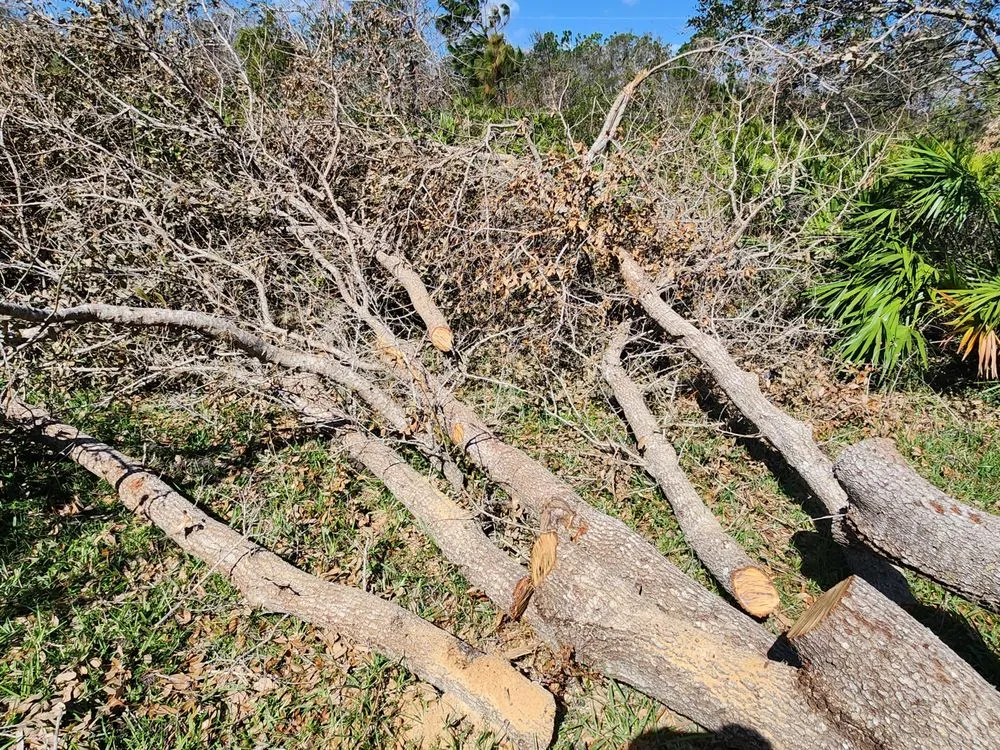 Expert yard cleanup service with custom design across Cape Coral, FL - Greenbelt Concepts