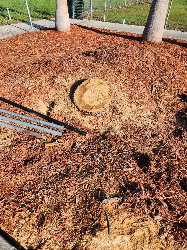 Top-rated yard cleanup service experts serving Cape Coral, FL - Greenbelt Concepts