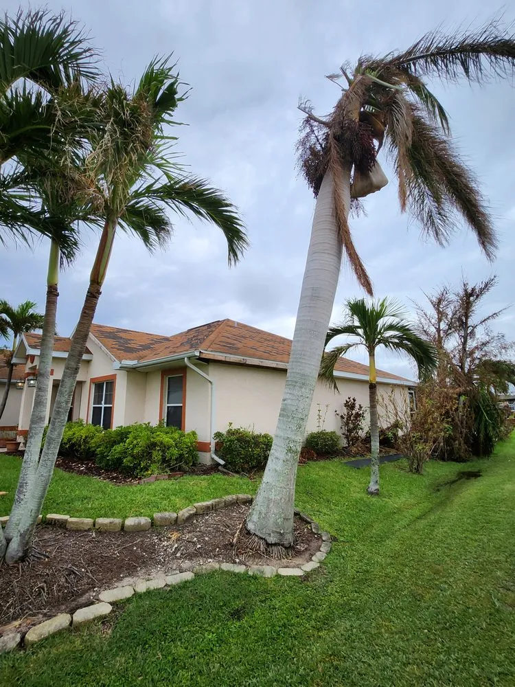 Trusted yard cleanup service for homes across Cape Coral, FL - Greenbelt Concepts