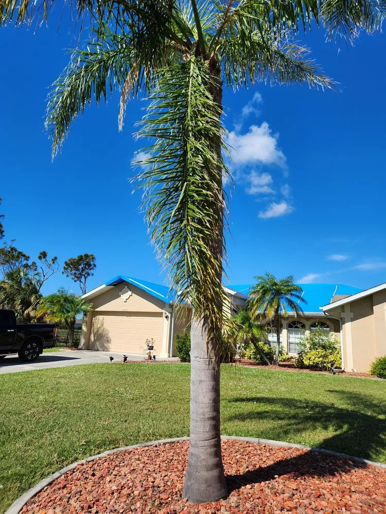 Custom residential landscaping for outdoor upgrades across Cape Coral, FL - Greenbelt Concepts