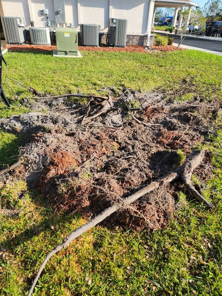 Trusted lawn mowing service for homes in Cape Coral, FL by Greenbelt Concepts