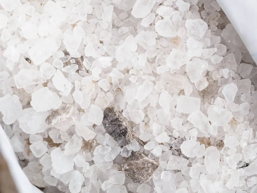 Trusted residential landscaping experts serving Greenbelt, MD - Greenbelt Landscaping