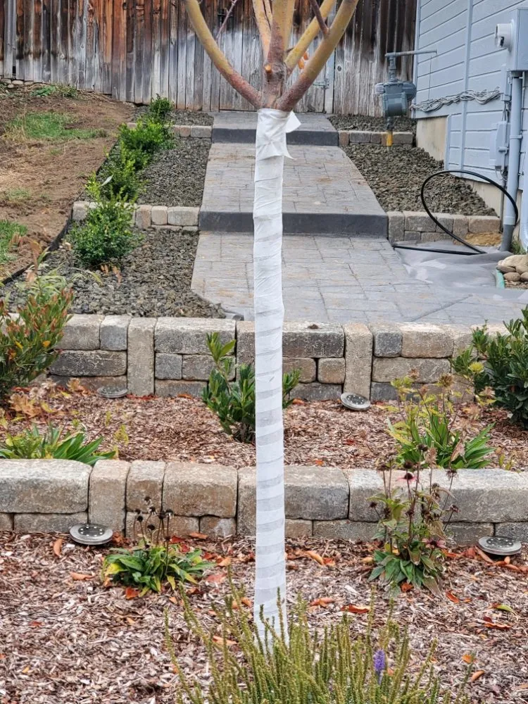 Affordable residential landscaping in Boise City, ID - Greenbelt Pro