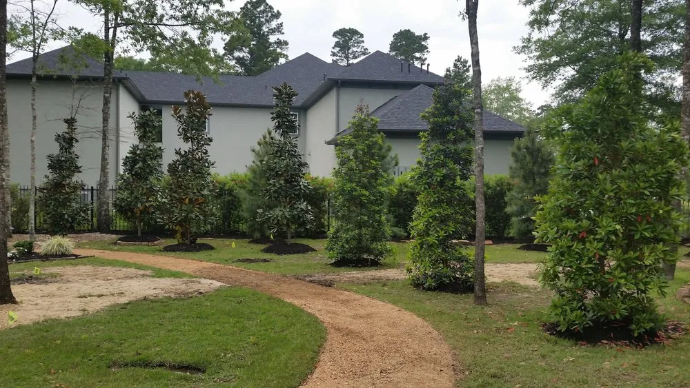 Affordable yard cleanup service in Houston, TX - Greenbelt Services