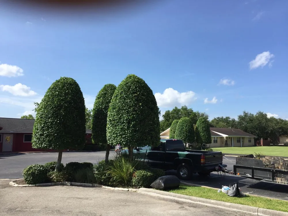 Top-rated outdoor landscaping near you across Houston, TX - Greenbelt Services