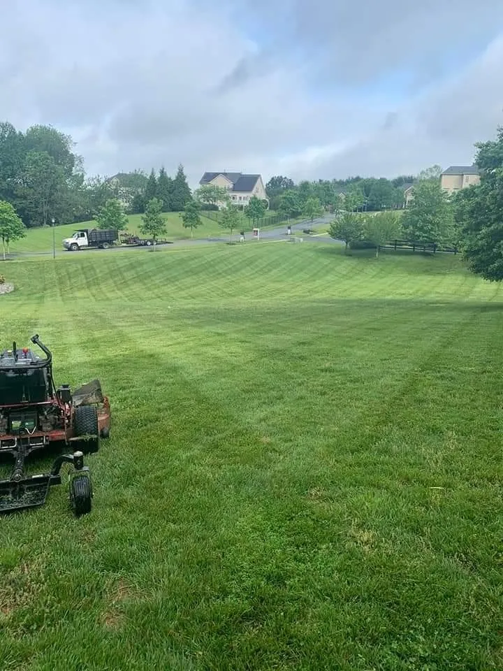 Top-rated residential landscaping in Silver Spring, MD - GreenBird Landscaping