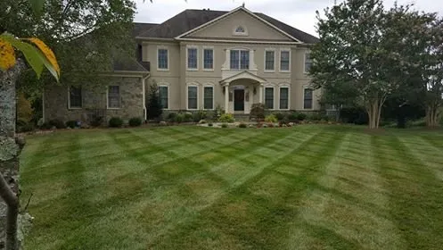 Trusted garden landscaping in Silver Spring, MD - GreenBird Landscaping