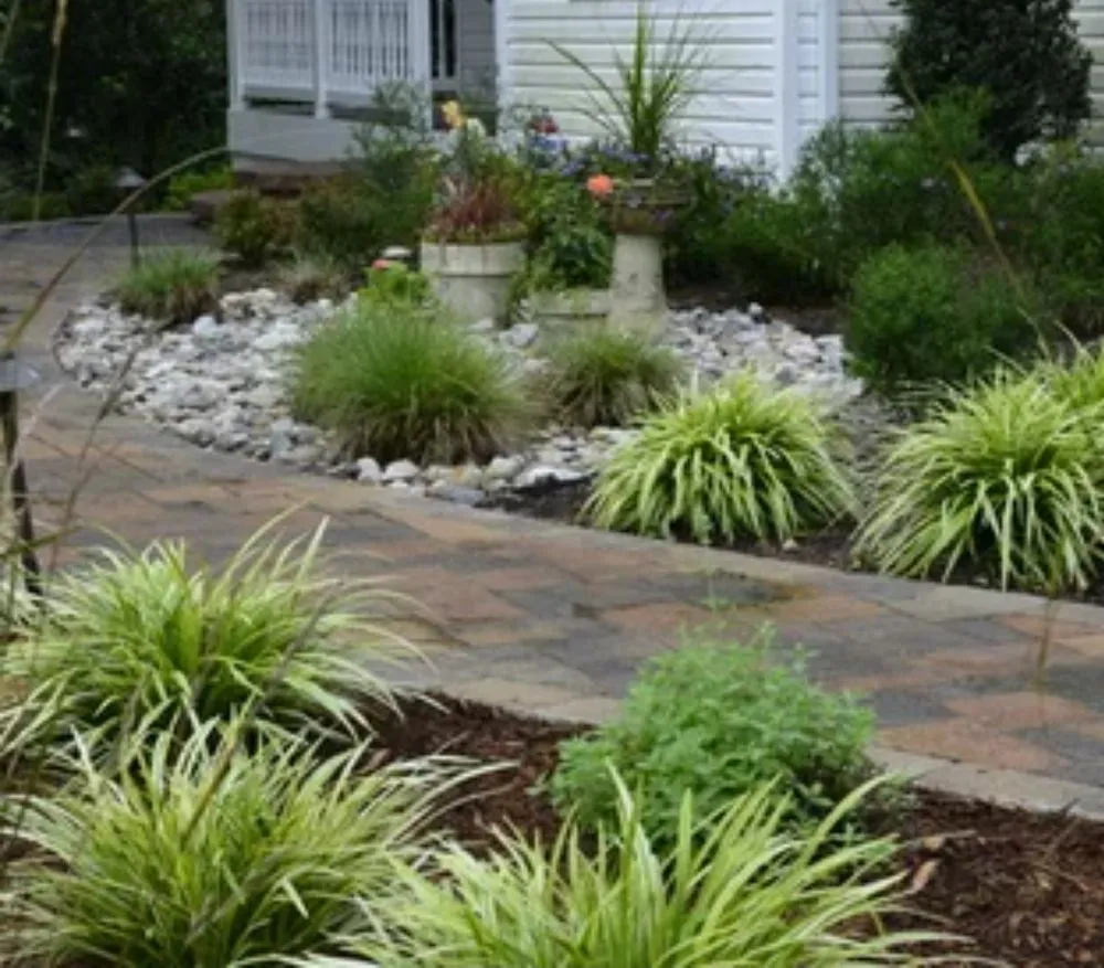 Reliable yard maintenance for beautiful yards across Silver Spring, MD - GreenBird Landscaping