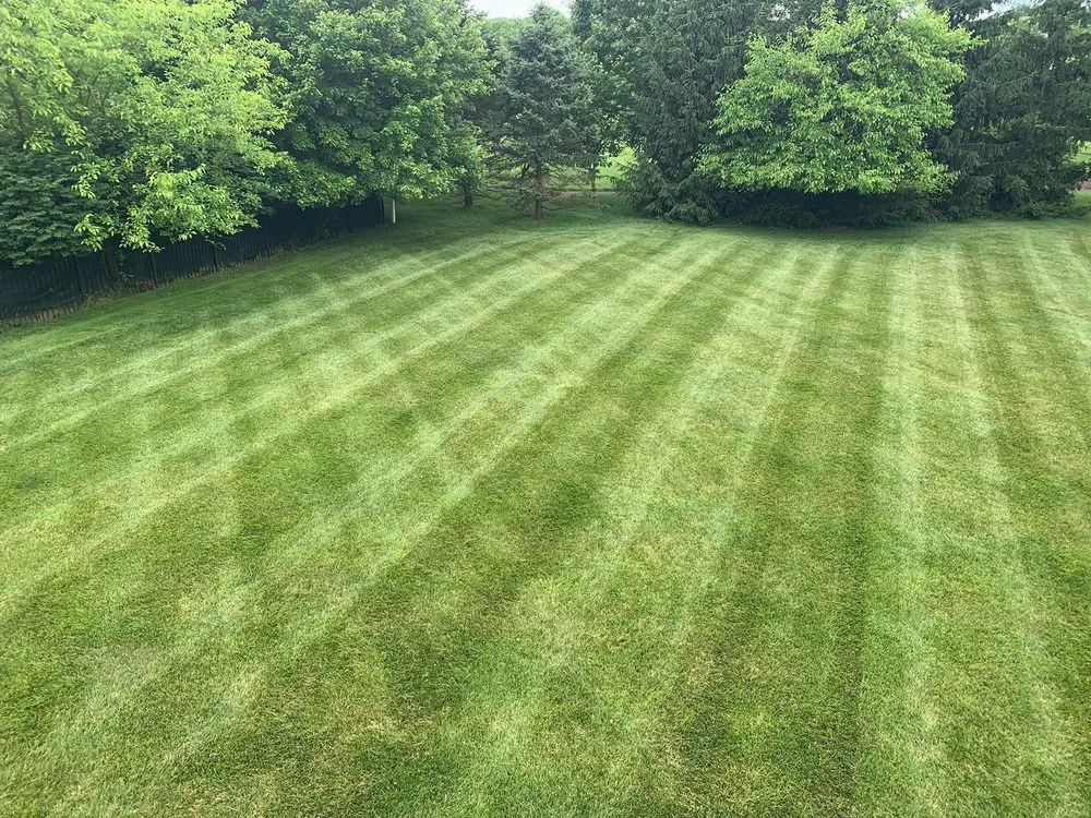 Affordable lawn care service for year-round maintenance in Silver Spring, MD by GreenBird Landscaping