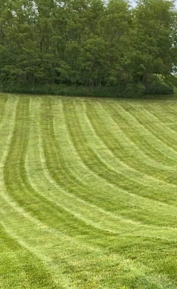 Professional outdoor landscaping in Silver Spring, MD by GreenBird Landscaping