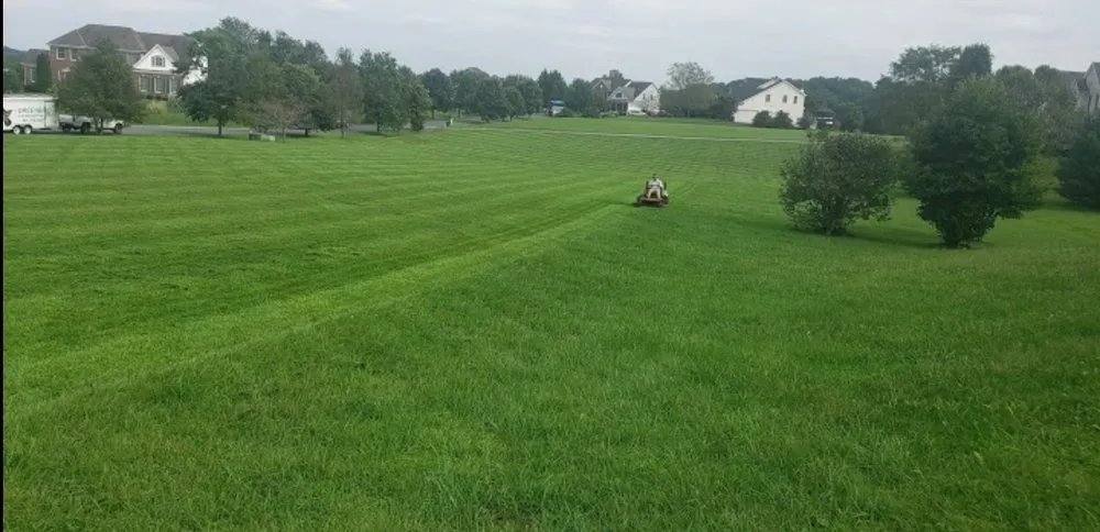 Professional garden landscaping experts serving Silver Spring, MD - GreenBird Landscaping