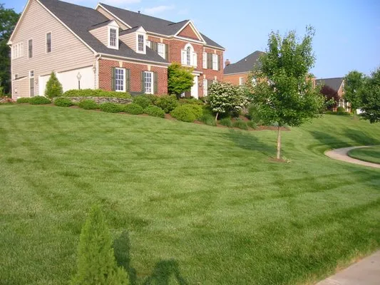 GreenBird Landscaping Logo