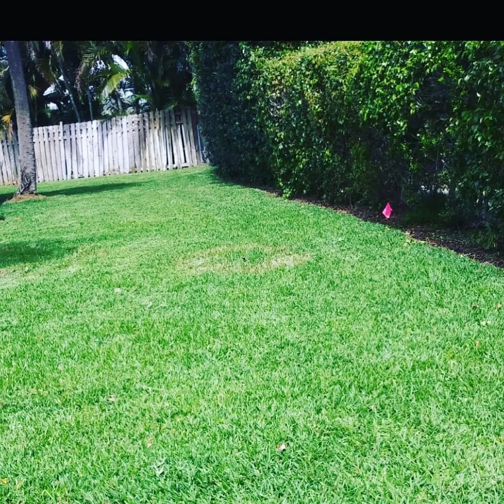 Custom garden landscaping in West Palm Beach, FL by GreenBlade Landscaping