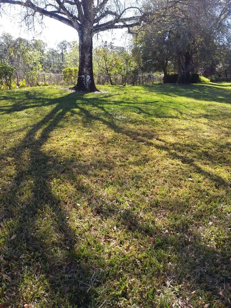 Expert garden landscaping experts serving West Palm Beach, FL - GreenBlade Landscaping