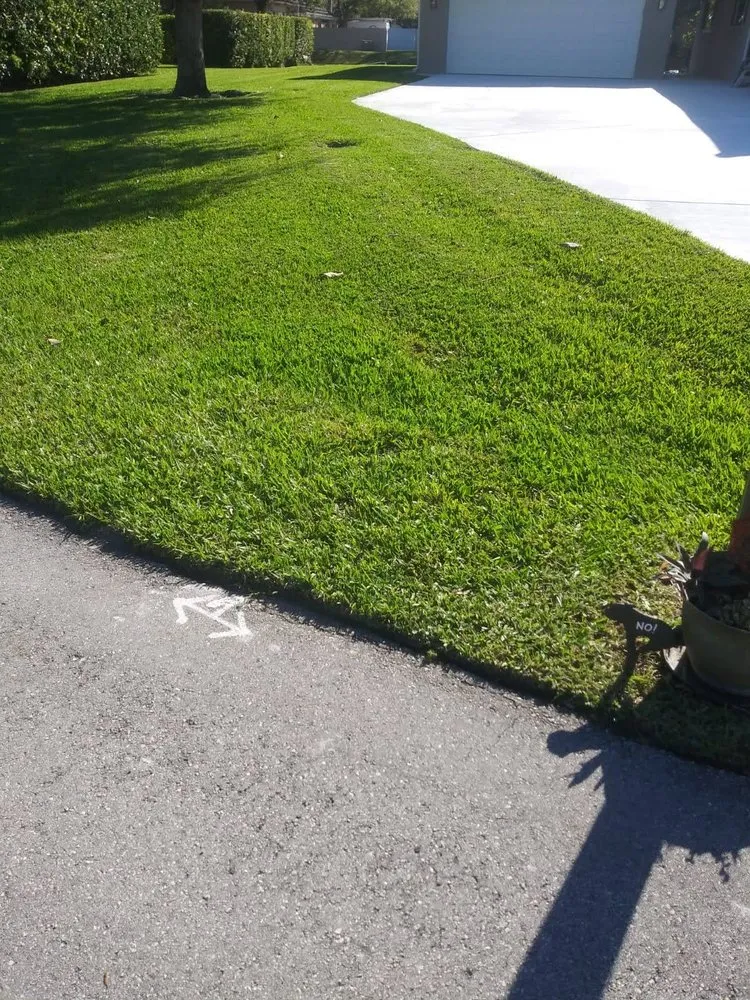 Expert yard maintenance near you across West Palm Beach, FL - GreenBlade Landscaping