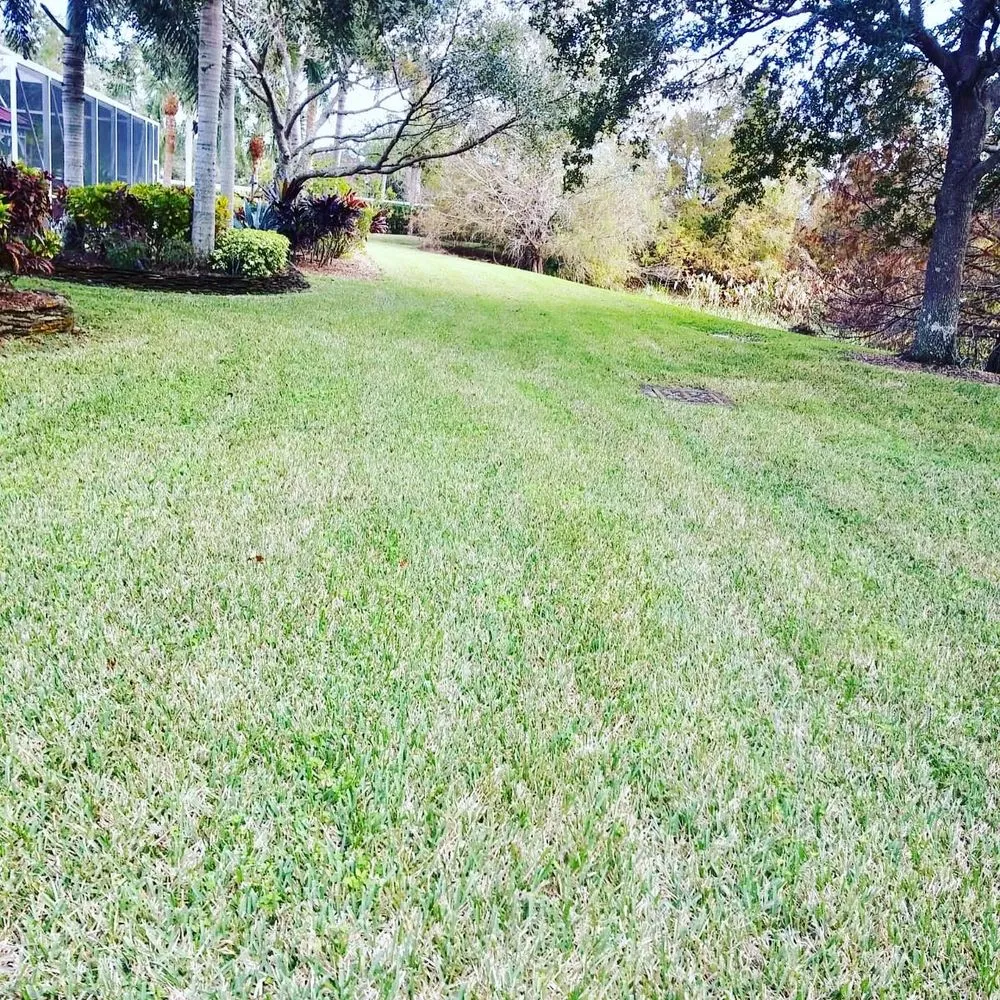 Top-rated landscaping services in West Palm Beach, FL - GreenBlade Landscaping