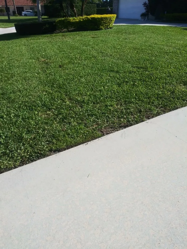 Local landscaping services in West Palm Beach, FL - GreenBlade Landscaping