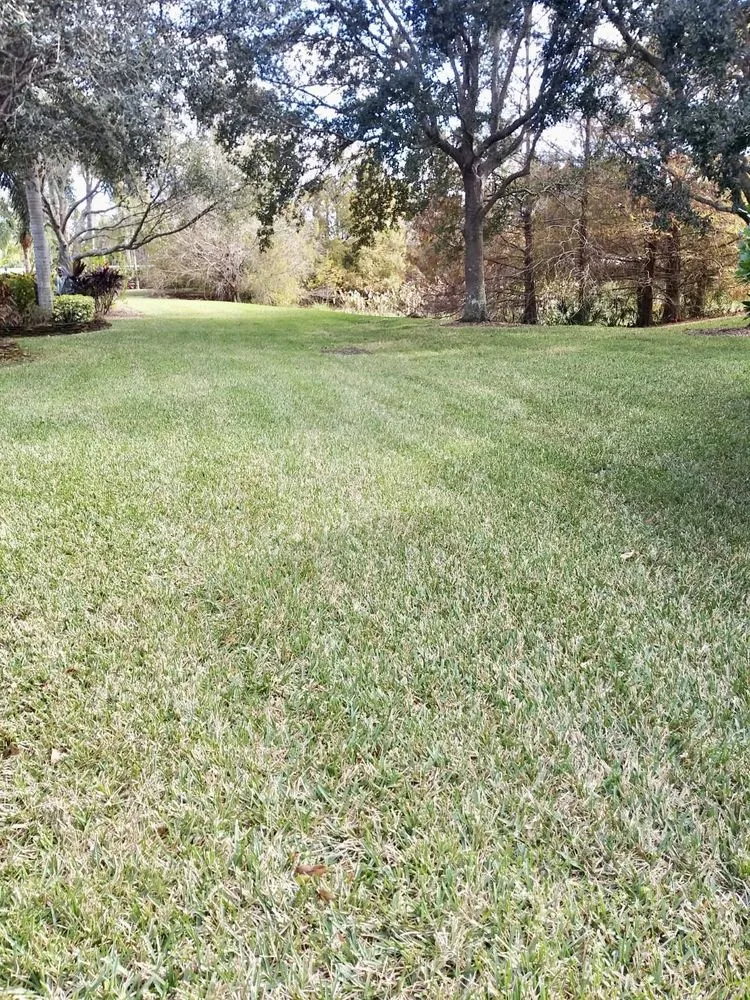 Professional lawn mowing service in West Palm Beach, FL - GreenBlade Landscaping