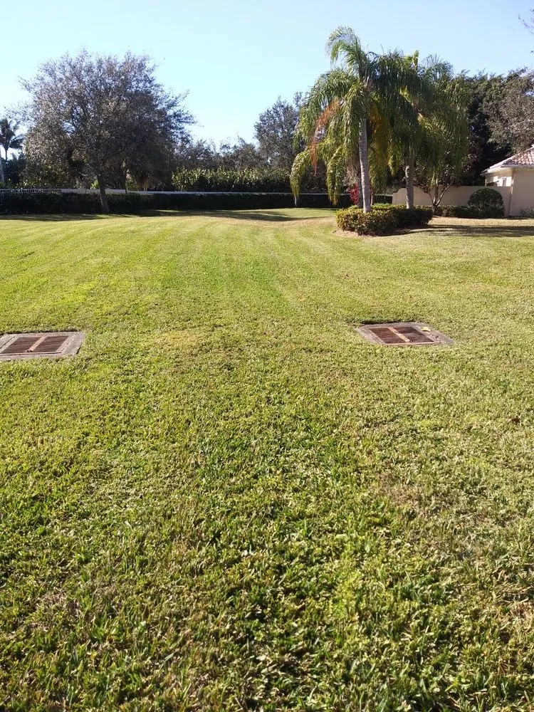 Top-rated landscape installation experts serving West Palm Beach, FL - GreenBlade Landscaping