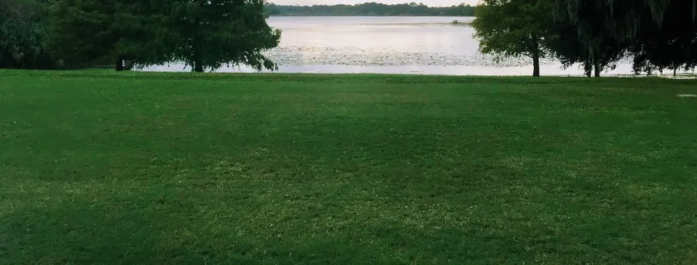 Top-rated landscaping services experts serving West Palm Beach, FL - GreenBlade Landscaping