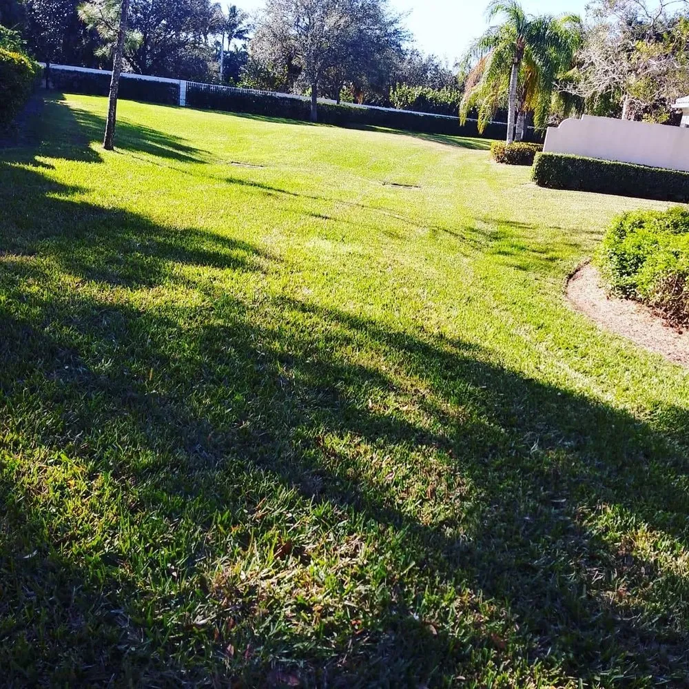 Affordable landscape design experts serving West Palm Beach, FL - GreenBlade Landscaping