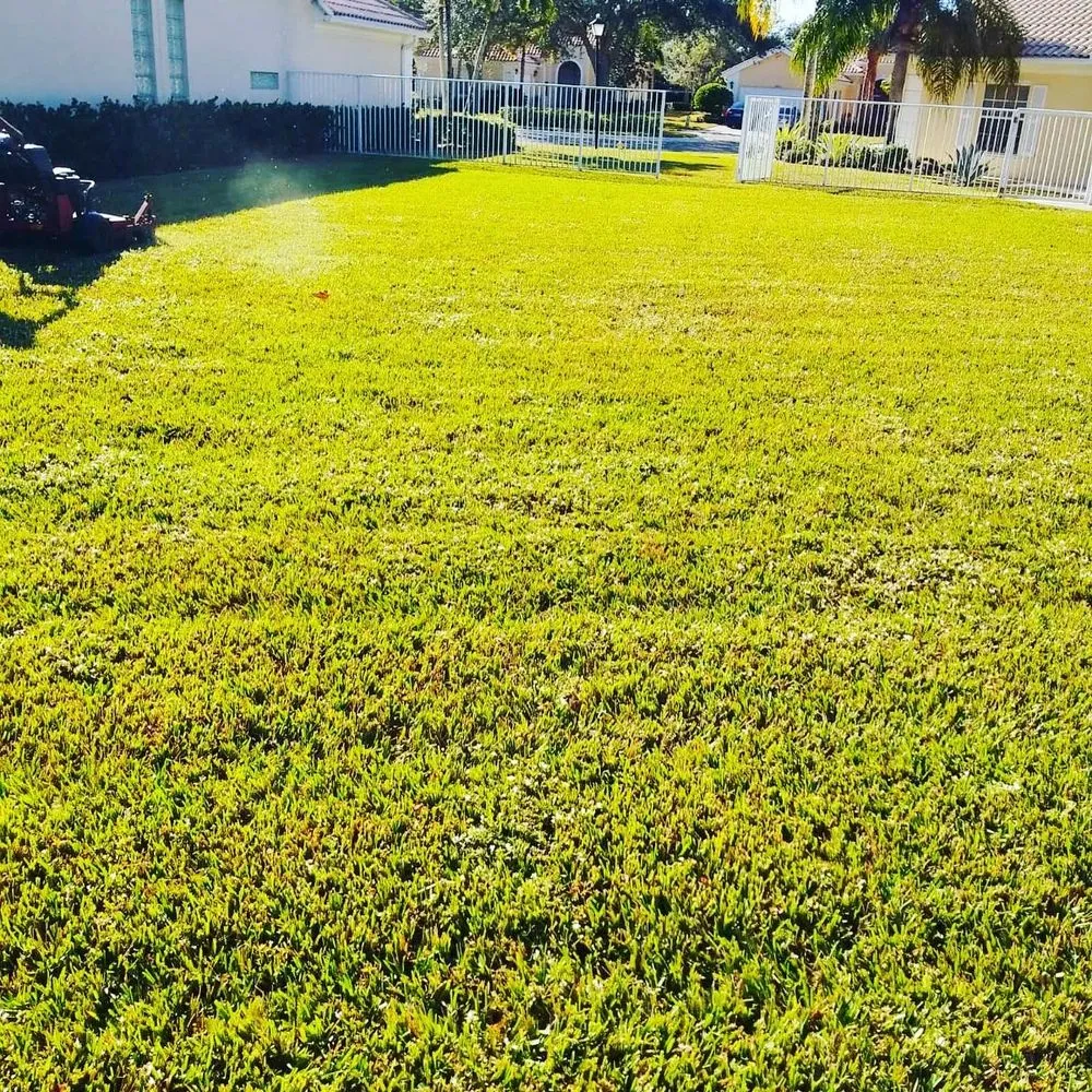 Professional landscaping services experts serving West Palm Beach, FL - GreenBlade Landscaping