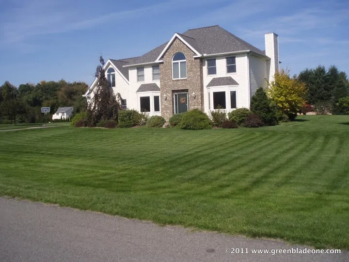 Trusted lawn care service in Addison, MI by Greenblade One