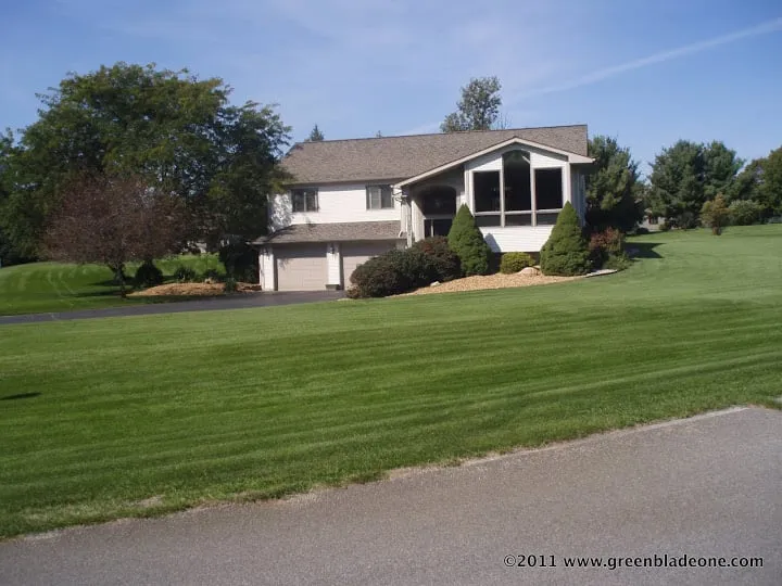 Expert lawn care service near you in Addison, MI by Greenblade One