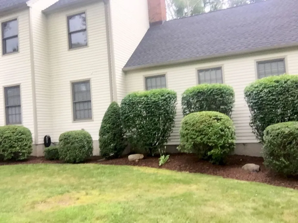 Local landscaping services in Bridgeport, CT - Greenbridge lawn care