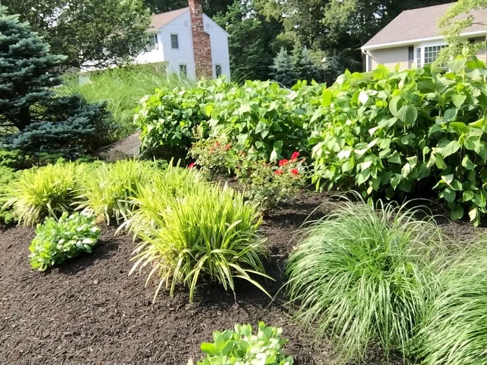 Top-rated residential landscaping for outdoor upgrades in Bridgeport, CT by Greenbridge lawn care