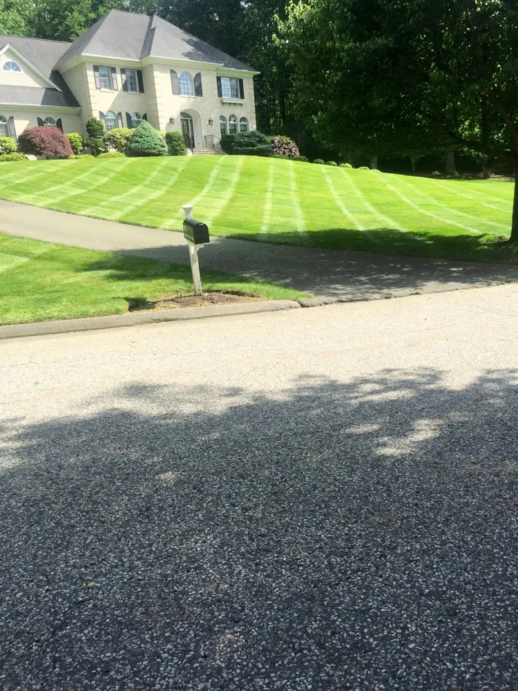 Local yard maintenance in Bridgeport, CT - Greenbridge lawn care
