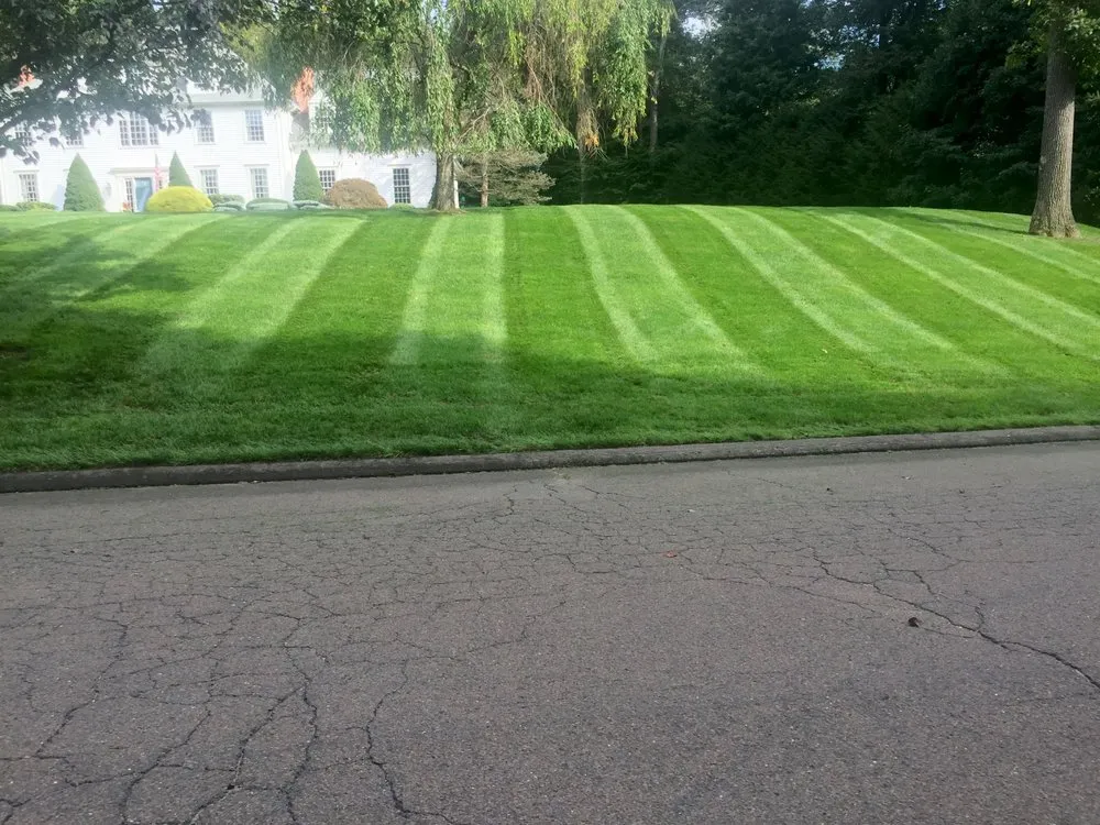 Local landscaping services in Bridgeport, CT by Greenbridge lawn care