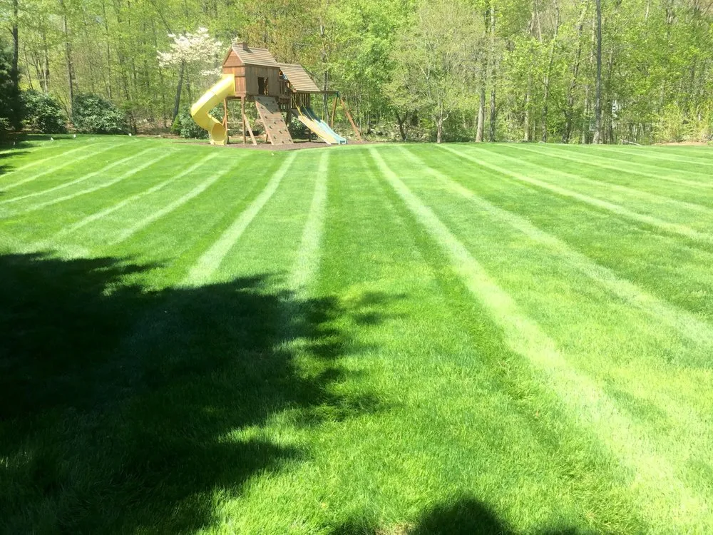 Professional residential landscaping for residential properties in Bridgeport, CT by Greenbridge lawn care