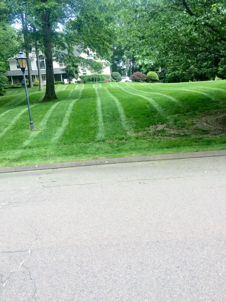 Trusted landscape installation in Bridgeport, CT - Greenbridge lawn care