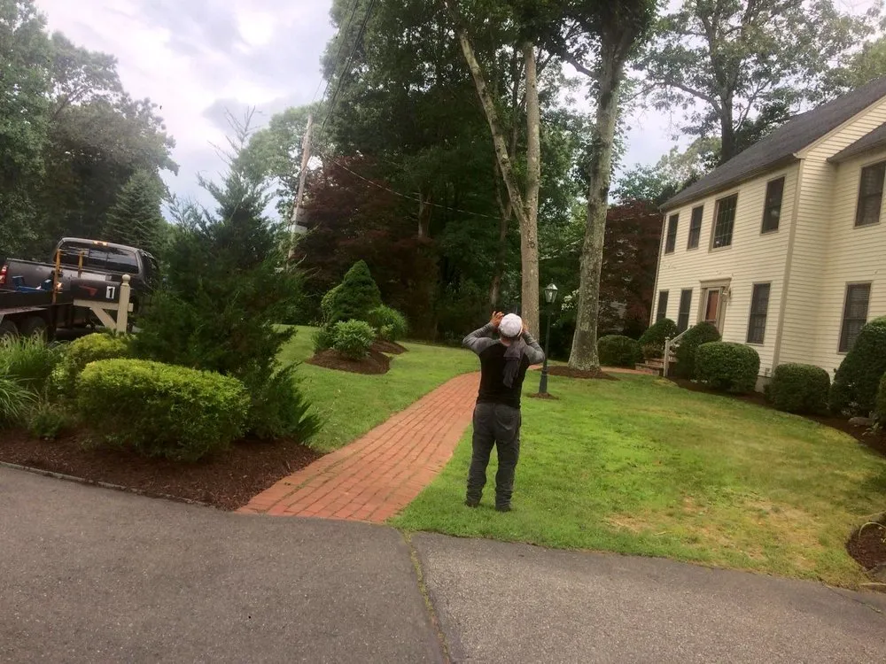 Top-rated landscape design near you in Bridgeport, CT by Greenbridge lawn care