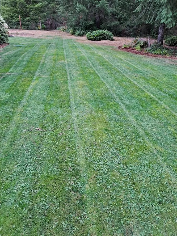 Local landscape design in Shelton, WA by Greenbrier Landscape Maintenance