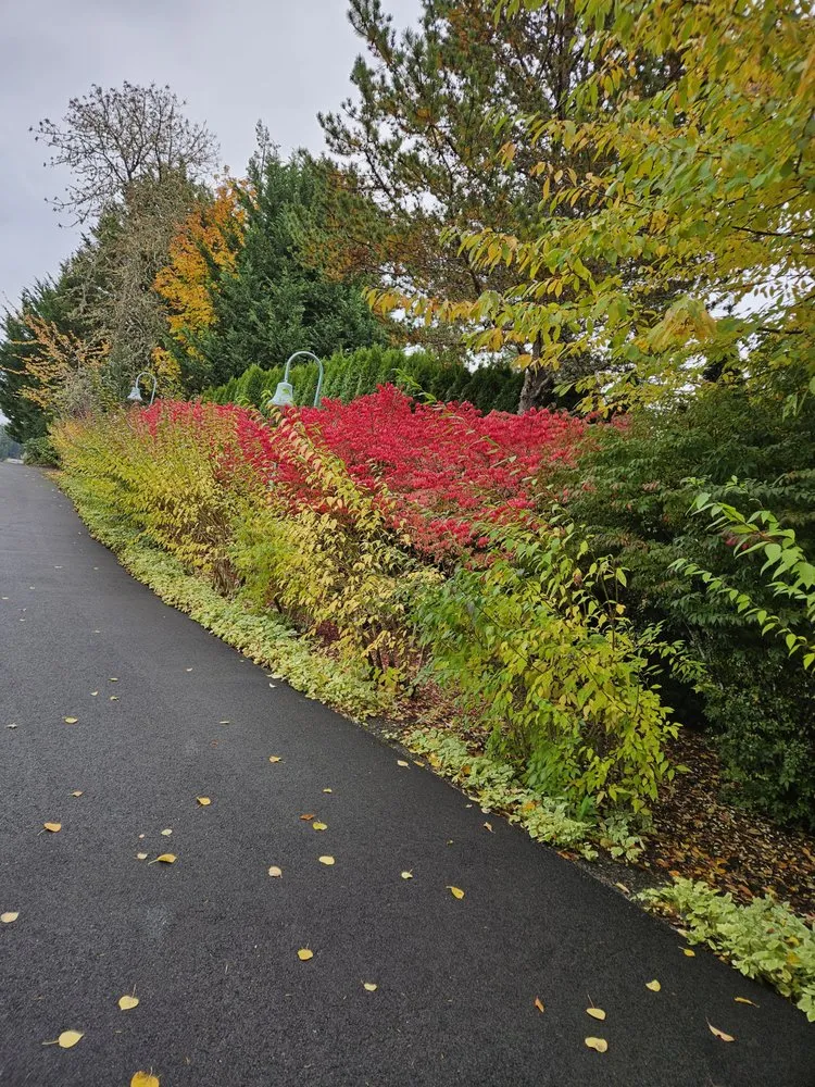 Expert outdoor landscaping experts serving Shelton, WA - Greenbrier Landscape Maintenance