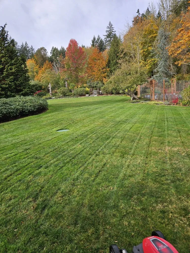 Trusted lawn mowing service experts serving Shelton, WA - Greenbrier Landscape Maintenance